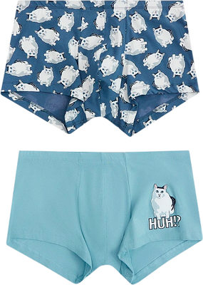 Комплект мужских трусов Mark Formelle 411216-2 (р.82-92, полынь/коты на шторме) -