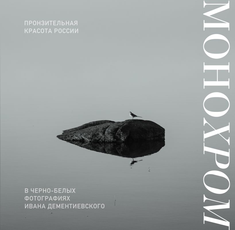 Книга Бомбора Монохром, твердая обложка (Дементиевский Иван)