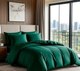 Комплект постельного белья LUXOR №19-5420 (N) 2.0 с европростыней (изумруд, сатин гл/кр) - 