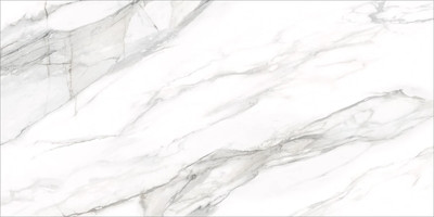 Плитка Delacora Omega Silver D12053M (1200x600) - 