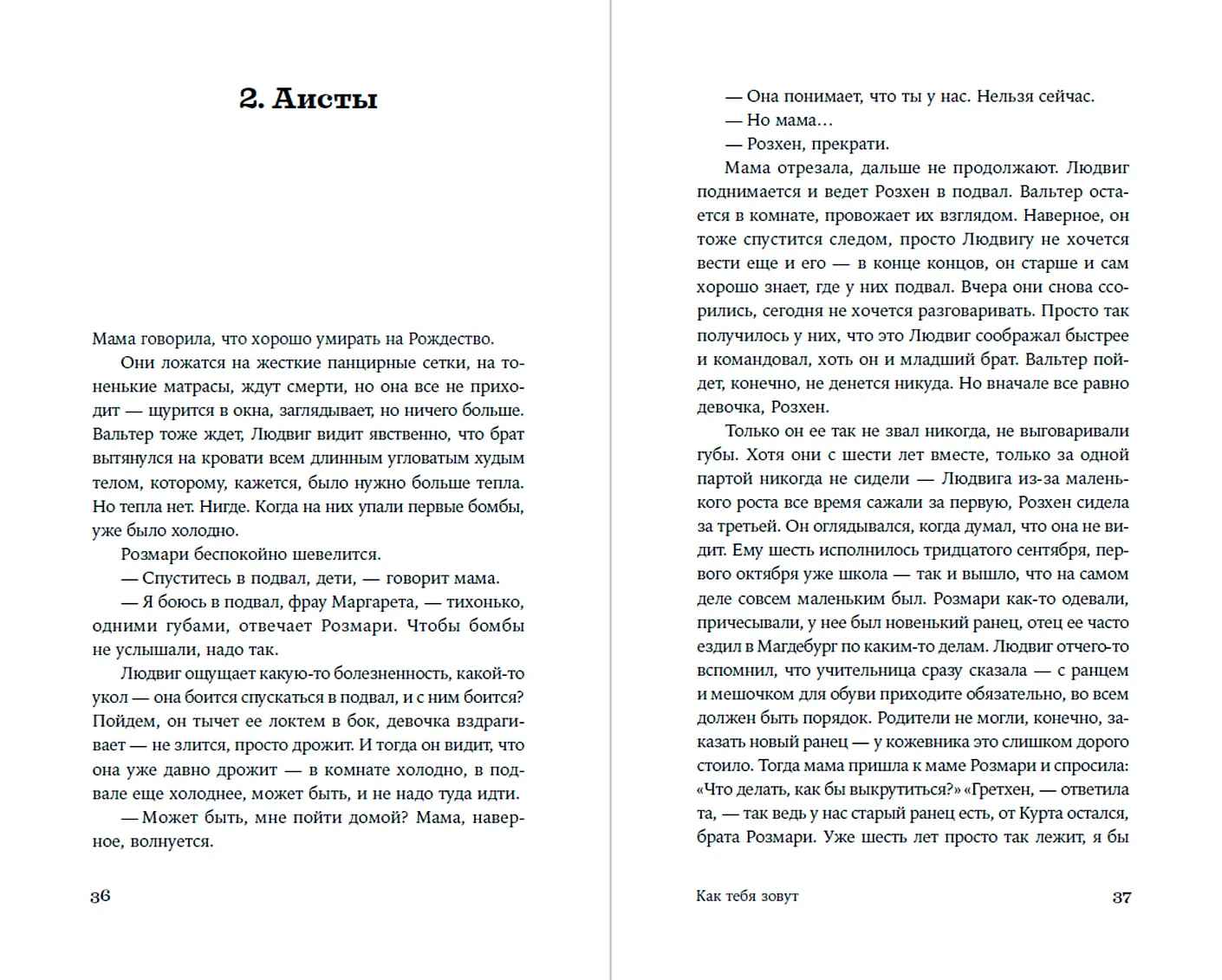 Художественная книга Альпина Как тебя зовут, твердая обложка (Шалашова Александра ) — фото 2