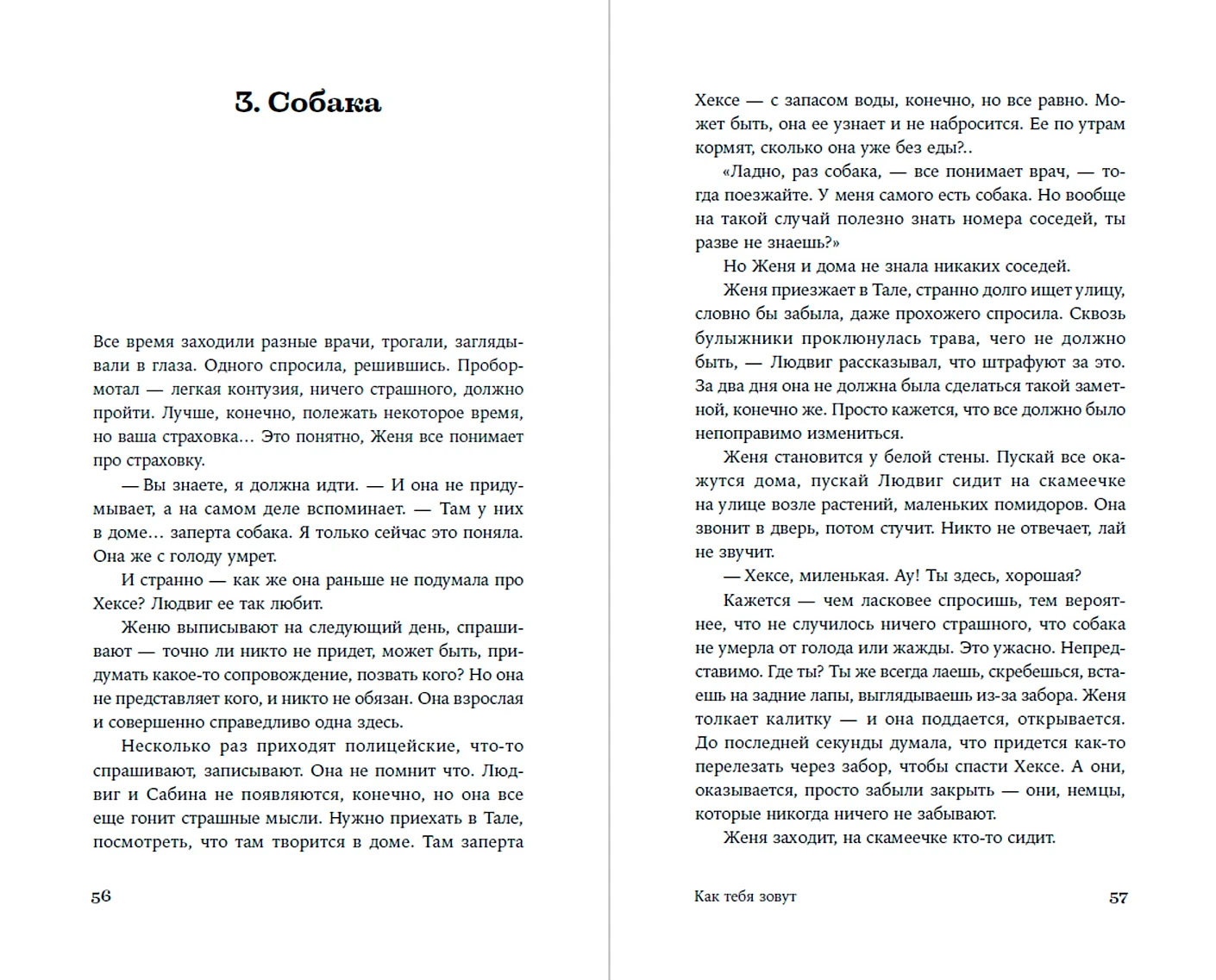 Художественная книга Альпина Как тебя зовут, твердая обложка (Шалашова Александра ) — фото 3