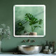 Зеркало Дабл-Ю Эдинбург 80x80 / EDN80X80 (с подсветкой) -