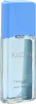 Туалетная вода Positive Parfum Kaizen L'eau Par Pour Homme (95мл) - 