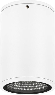 

Светильник уличный, LGD-FORMA-SURFACE-R90-12W Day4000 WH 44deg 230V / 037259