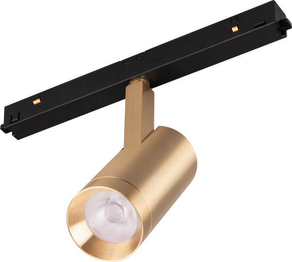 Трековый светильник Arlight MAG-ORIENT-SPOT-R45-12W Day4000 GD 24deg 48V / 040889