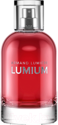 Парфюмерная вода Lumium 435 (100мл)