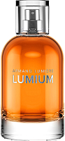 Парфюмерная вода Lumium 495 (100мл) - 