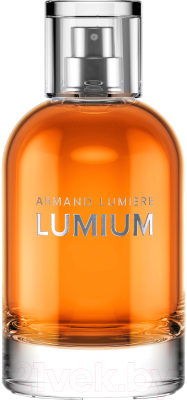 Парфюмерная вода Lumium 495 (100мл)
