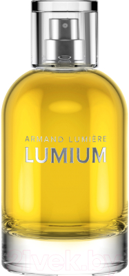 Парфюмерная вода Lumium 520 (100мл)