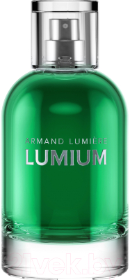 Парфюмерная вода Lumium 555 (100мл)