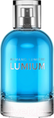 Парфюмерная вода Lumium 610 (100мл)