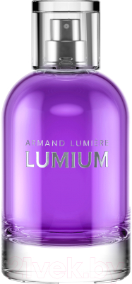 Парфюмерная вода Lumium 700 (100мл)