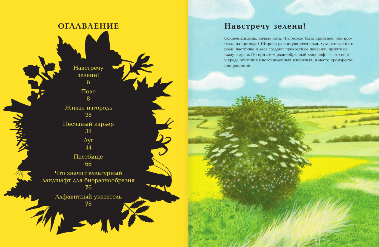 Энциклопедия АСТ Животные рядом с нами, твердая обложка (Мюллер Томас) — фото 3