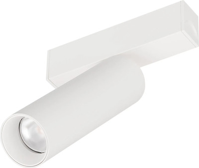 Трековый светильник Arlight MAG-SPOT-25-R120-12W Day4000 WH 30deg / 050076 - 