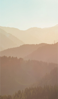 

Фотообои листовые, Природа 147