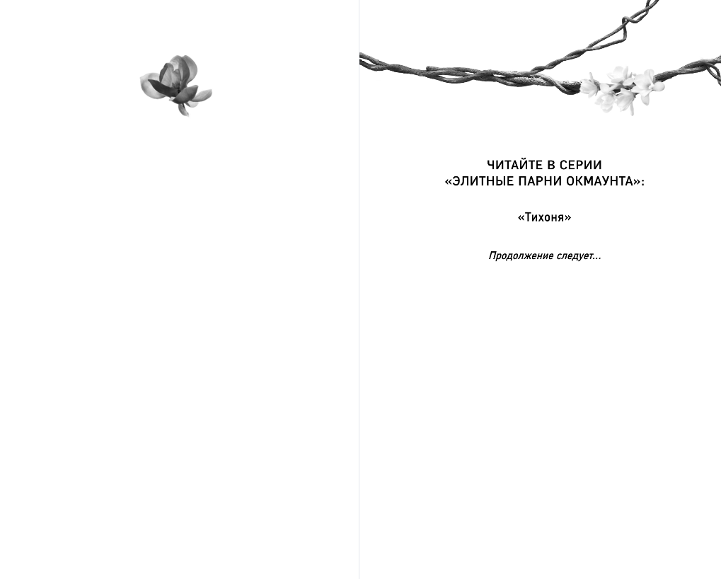 Художественная книга FreeDom Тихоня, твердая обложка (Бек Дж. Л.) — фото 2