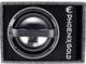 Корпусной активный сабвуфер Phoenix Gold Z110ABV2 - 