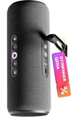 Умная портативная колонка Яндекс Станция Стрит YNDX-00030BLK (черный) - 