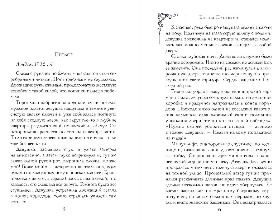 Художественная книга Эксмо Исчезновение Маргарет Астор, твердая обложка (Петкевич Катиш) — фото 6