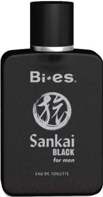 Туалетная вода Bi-es Sankai Black (100мл)
