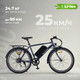 Электровелосипед MyWay Let 1.0 250 26 Pro (19, синий) -