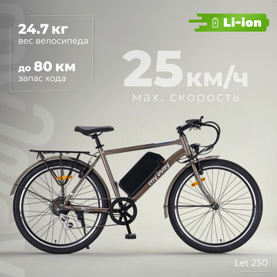 Электровелосипед MyWay Let 1.0 250 26 Pro (19, титановый матовый) - 