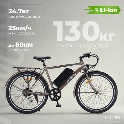 Электровелосипед MyWay Let 1.0 250 26 Pro (19, титановый матовый) - 