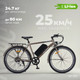 Электровелосипед MyWay Let 1.0 250 26 Pro (19, титановый матовый) -