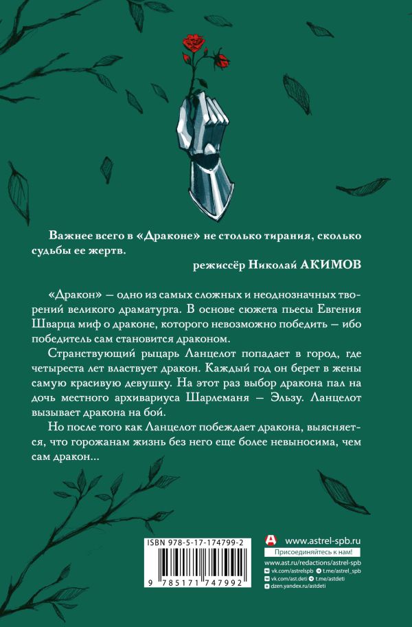 Художественная книга АСТ Дракон, твердая обложка (Шварц Евгений) — фото 2