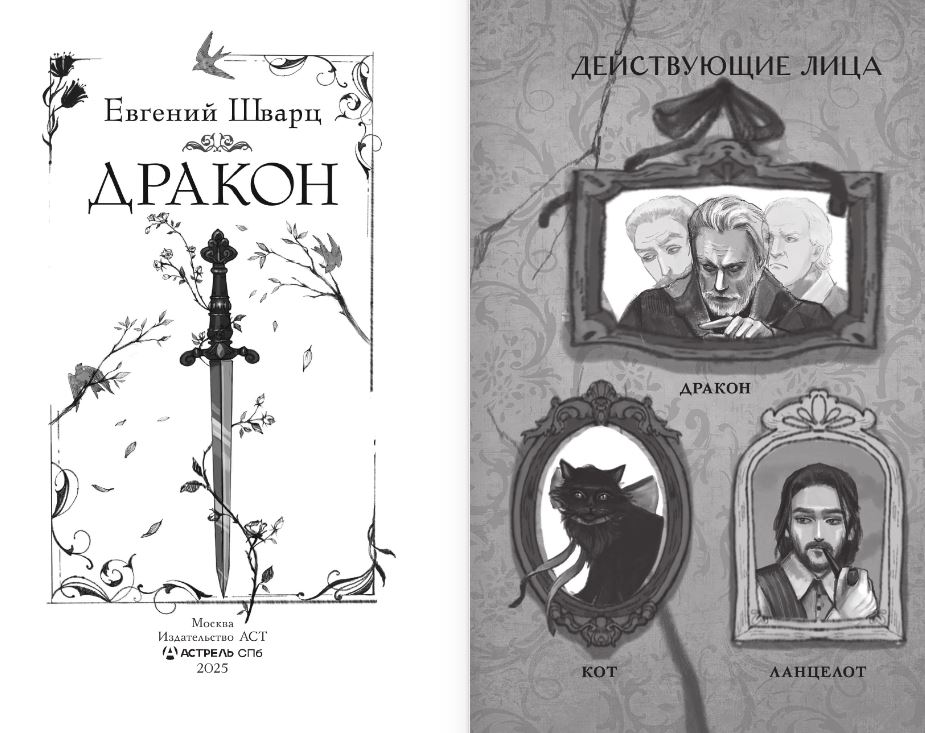 Художественная книга АСТ Дракон, твердая обложка (Шварц Евгений) — фото 4