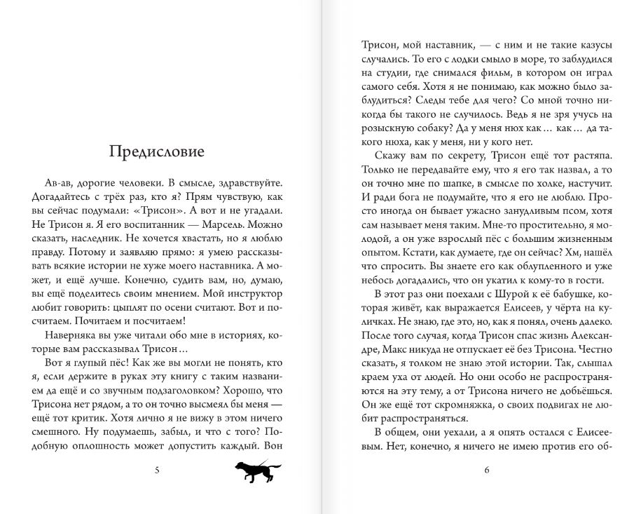 Художественная книга АСТ Трисон и Марсель берут дело в свои лапы, твердая обложка (Самарский Михаил) — фото 3