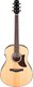 Электроакустическая гитара Ibanez AAM100E-NT - 