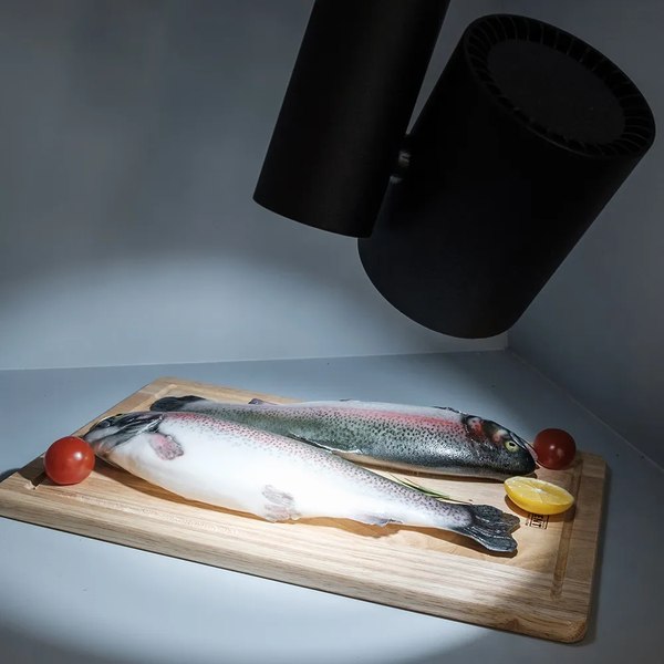 Трековый светильник Arlight LGD-SHOP-4TR-R100-40W Cool SP7500-Fish BK 24deg / 026291