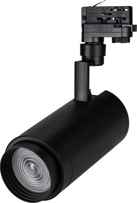 Трековый светильник Arlight LGD-ZEUS-4TR-R100-30W Day SP5000-Veg BK 20-60deg / 032454 - 