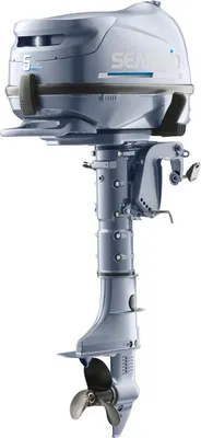 

Мотор лодочный, Enduro SNF5HS