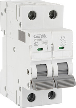 

Выключатель автоматический, GYM9H-2P-50C