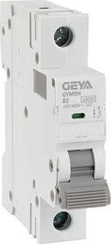 

Выключатель автоматический, GYM9H-1P-2B