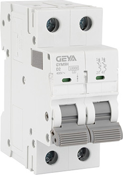 

Выключатель автоматический, GYM9H-2P-2D