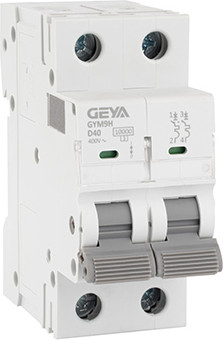 

Выключатель автоматический, GYM9H-2P-40D