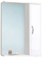 Шкаф с зеркалом для ванной Vako Венеция 60 / 10250 - 