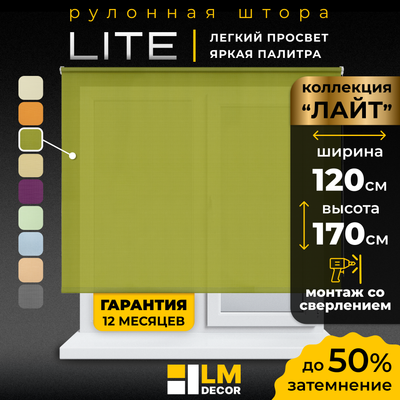 Рулонная штора Lm Decor Лайт LM 30-04E (120x170)