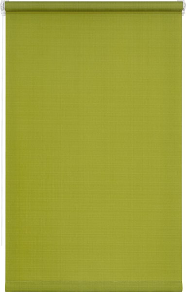 Рулонная штора Lm Decor Лайт LM 30-04E 48x160 (зеленый)