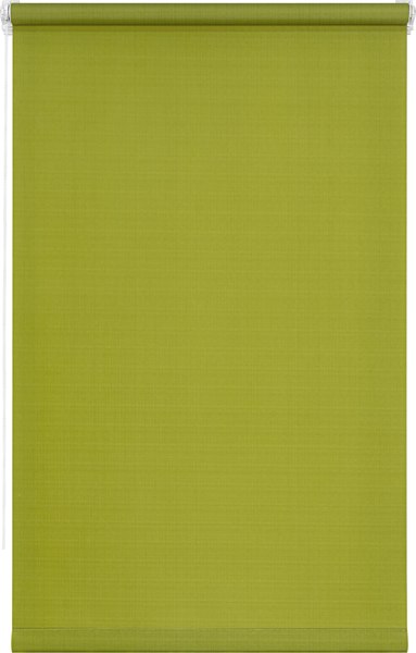 Рулонная штора Lm Decor Лайт LM 30-04E 61x160 (зеленый)