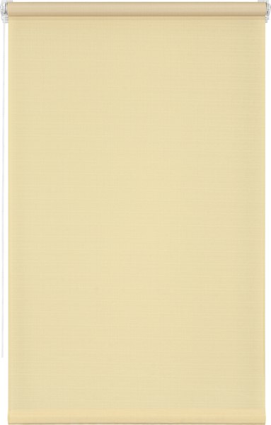 Рулонная штора Lm Decor Лайт LM 30-05F 48x160 (бежевый)