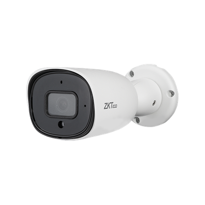IP-камера ZKTeco BL-854N38S-S7 -