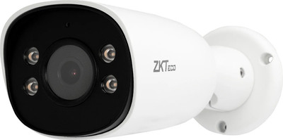 IP-камера ZKTeco BS-855P12C-S7-C -