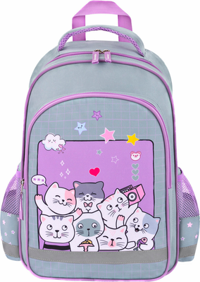 Школьный рюкзак Пифагор School. Cats Selfie / 273165 - 