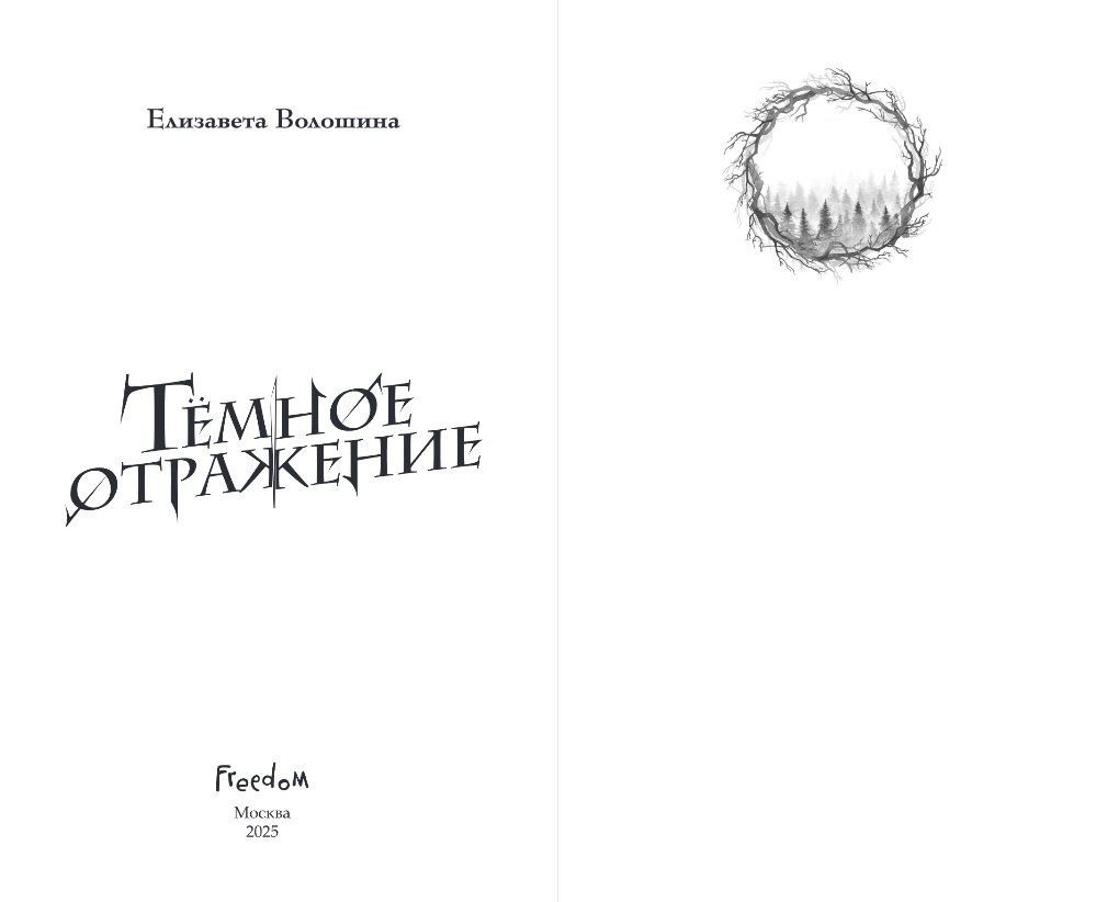 Художественная книга FreeDom Темное отражение, твердая обложка (Волошина Елизавета) — фото 2