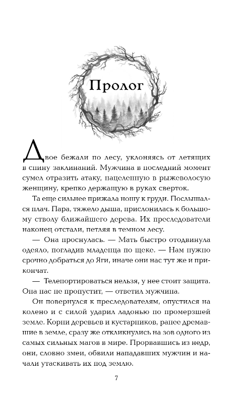 Художественная книга FreeDom Темное отражение, твердая обложка (Волошина Елизавета) — фото 5